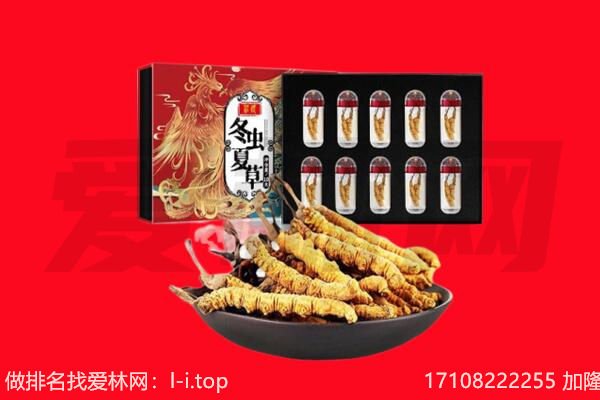 措勤县回收虫草.jpg